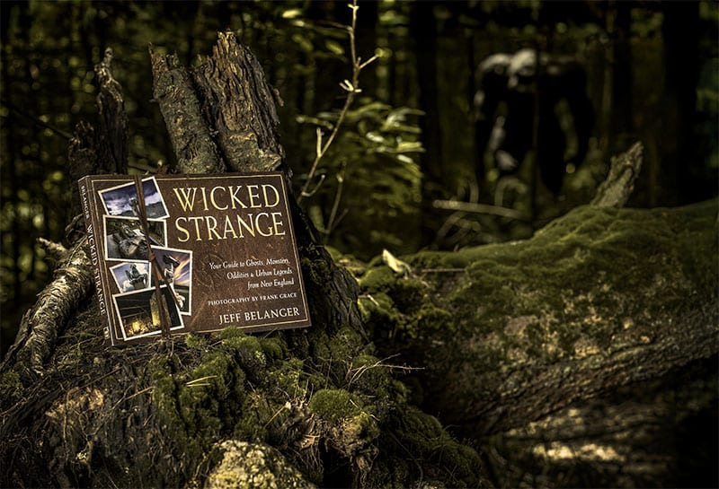 Wicked Strange New England book launch party
