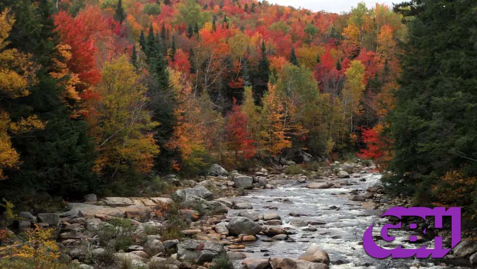 GBH Presents - Wicked Strange: The hermit of the White Mountains